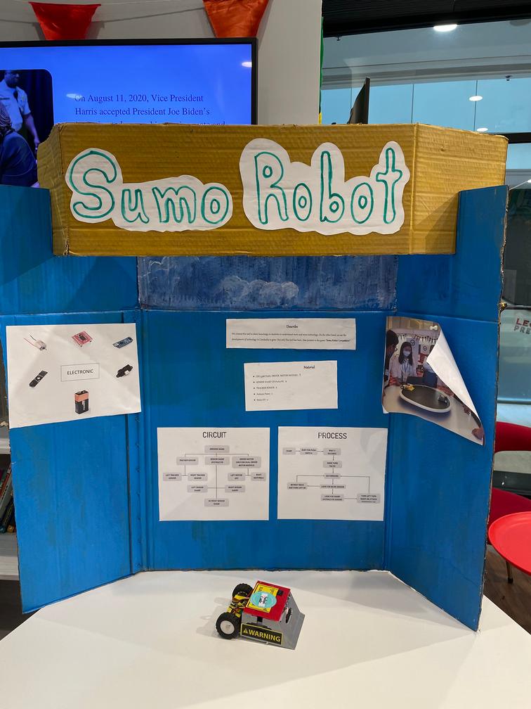 Sumo Robot