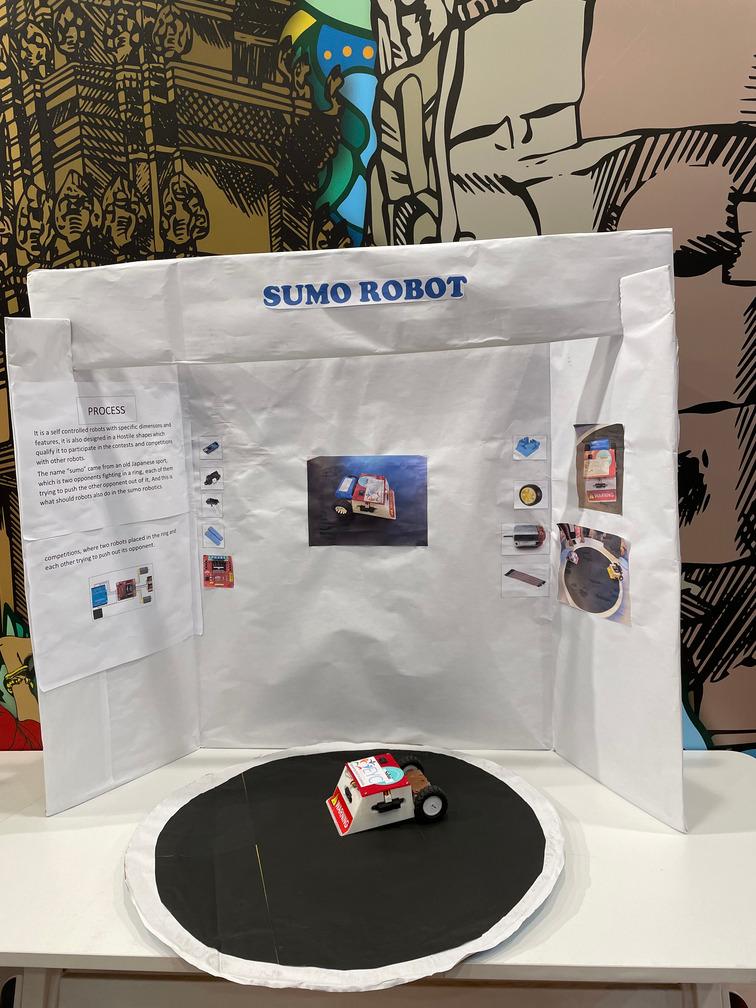 Sumo Robot